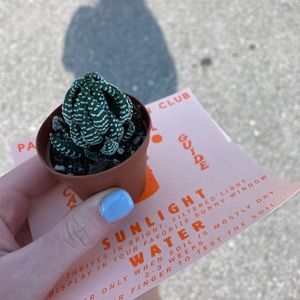 Meet your Posher, Hannah